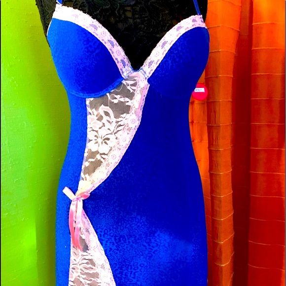 natures intimates Other - Lingerie-Nature’s intimates sheer lingerie,blue/pink, 36b